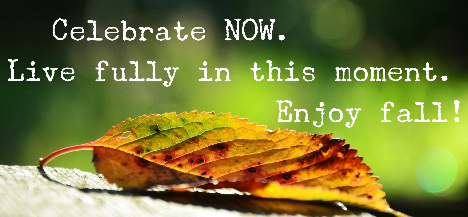 Easy Ways to Enjoy Fall With Your Kids... Right Now