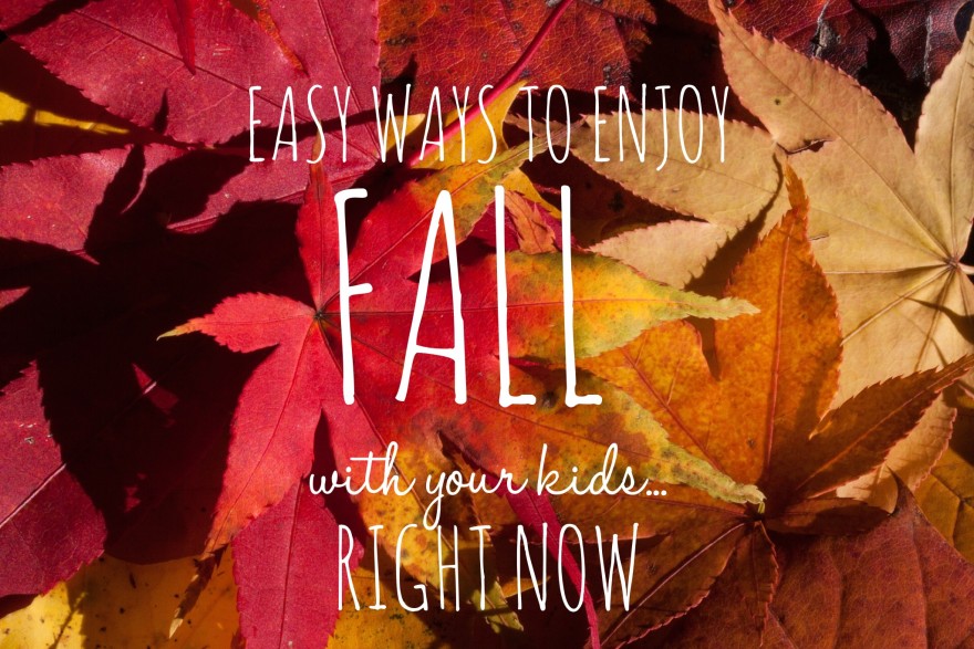 Sometimes, we homeschool moms tend to overthink making memories. The Nester has it right… It doesn’t have to be perfect to be beautiful. To that end, here are 10 ways to enjoy fall right now. Don’t wait to organize the perfect nature study hiking trip or to get to the store to bake an apple pie. Celebrate now. Live fully in this moment. Enjoy Fall!
